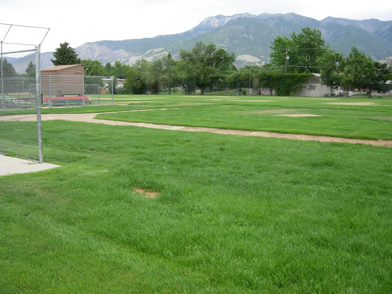 South Ogden Park renovation of ball diamond.